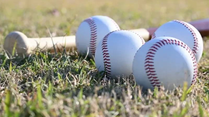 Lý do nhà cái là sự lựa chọn khi tham gia cá độ bóng chày