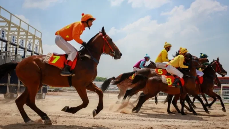 Loại vé cược ghép trong cuộc đua ngựa 