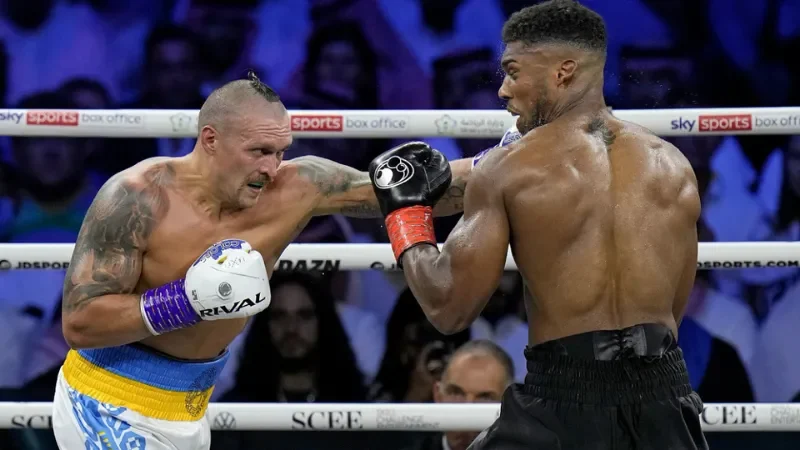 Sự đa dạng loại kèo cá cược quyền anh của nhà cái