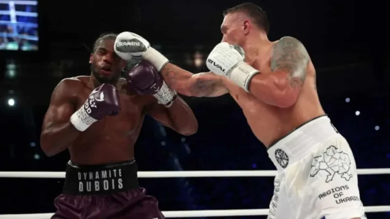 Ưu điểm nổi bật của hình thức cá độ quyền anh tại sân chơi