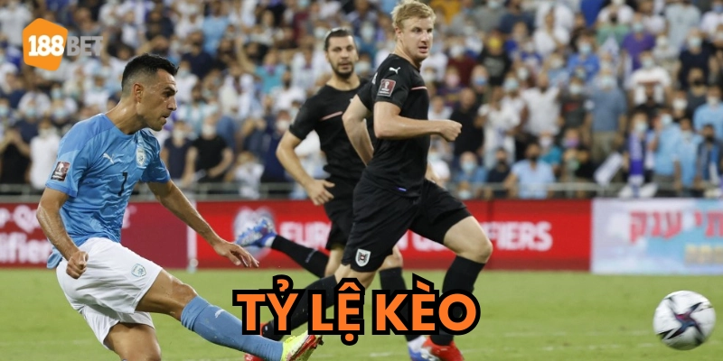 Hướng dẫn cách xem & phân tích tỷ lệ