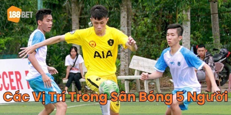 Thông tin về Các Vị Trí Trong Sân Bóng 5 Người
